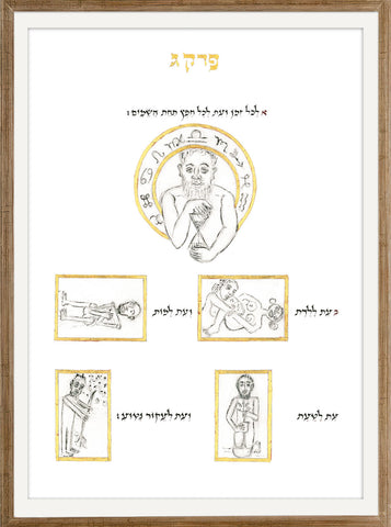 Kohelet - AM_KOHELET_08