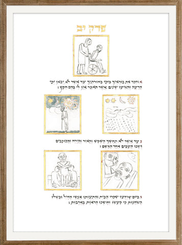 Kohelet - AM_KOHELET_43