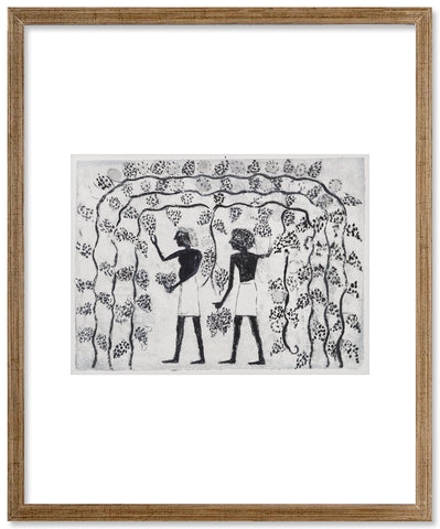 Grapevines, as euphemism - Preliminary drawing