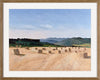 Haystacks in the Latrun Valley