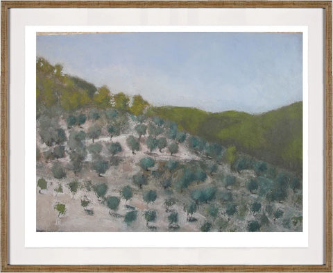 Orchard near Beit Shemesh - 2