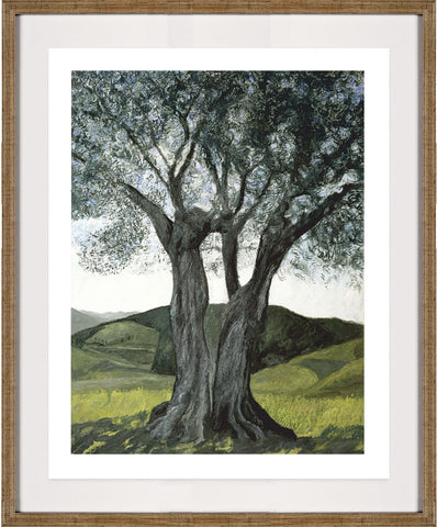 Olive Tree